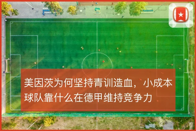 美因茨为何坚持青训造血，小成本球队靠什么在德甲维持竞争力