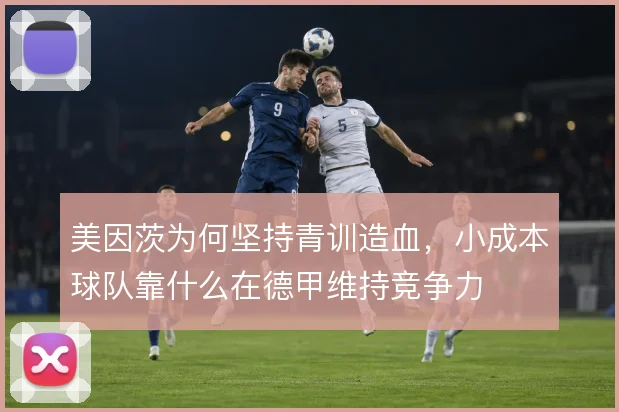 美因茨为何坚持青训造血，小成本球队靠什么在德甲维持竞争力
